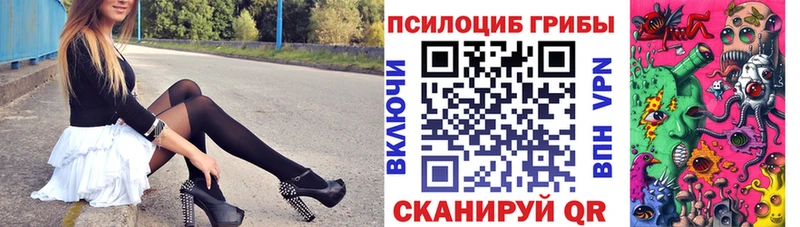 Галлюциногенные грибы мицелий  где продают   Светогорск 