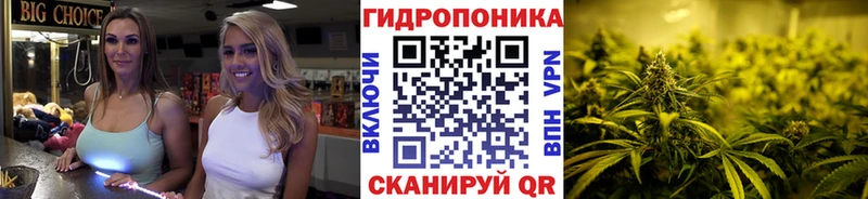 Шишки марихуана индика  что такое наркотик  Светогорск 